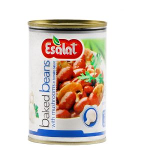 کنسرو قارچ لوبیا اصالت 49500ف