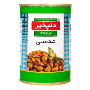 کنسرو عدسی دلپذیر 24ع